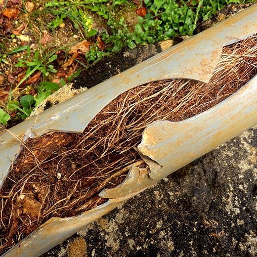Same Day Drain Sewer & Rooter Pros Across Warner